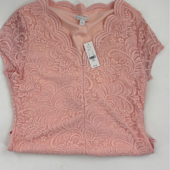 Elegant Pink Lace Women bodysuit - Picture 5 of 7